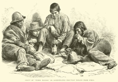 Grupo de índios Mansos, ou índios peruanos domesticados de Cuzco de English School