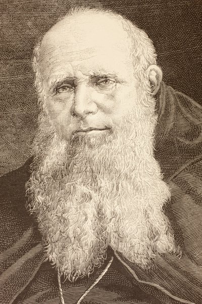 Guglielmo Massaia (litografia) de English School