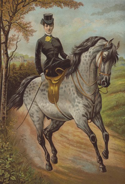 Sua Alteza Real a Princesa de Gales (cromolitografia) de English School