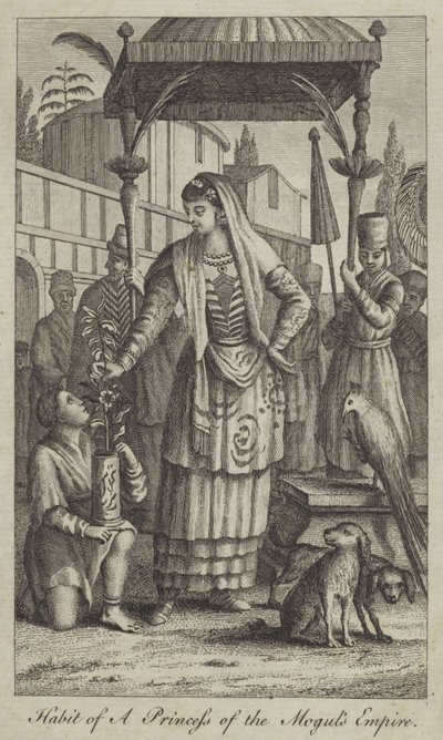Hábito de uma princesa do império mongol de English School