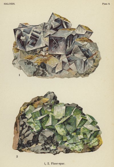 Haloides, espatoflúor (cor litho) de English School