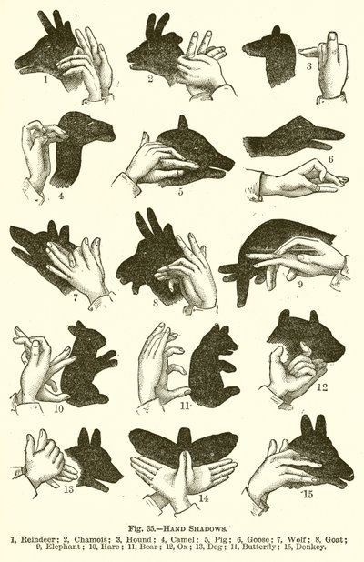 Sombras da mão de English School