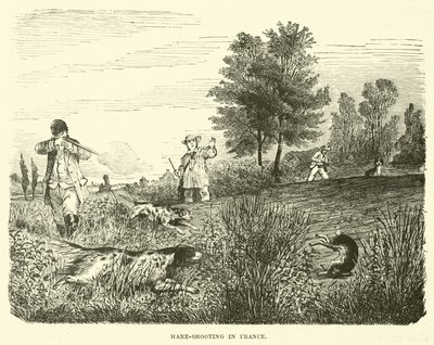 Hare-tiro na França de English School