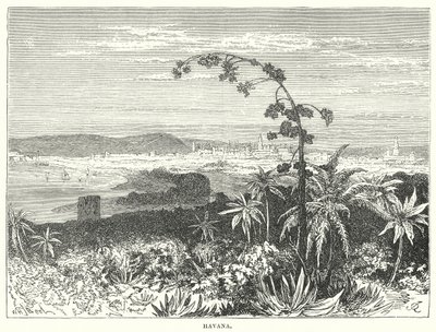 Havana (gravura) de English School
