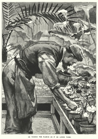 Ele cuidava das plantas como se as amasse! (gravura) de English School