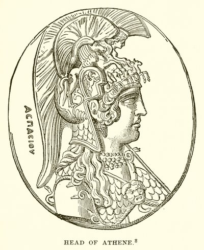 Cabeça de Athene de English School