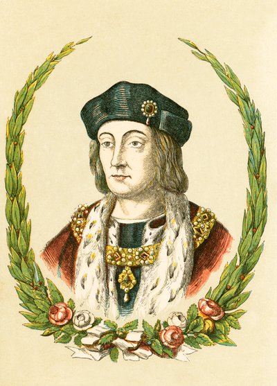 Henry VII de English School