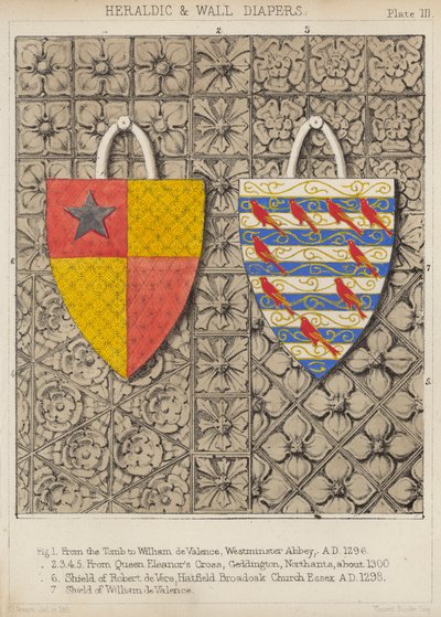 Fraldas Heráldicas e de Parede (cor litho) de English School
