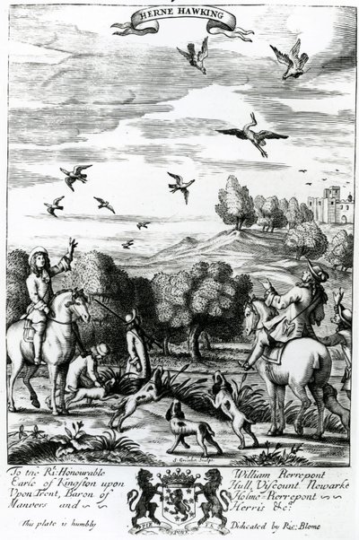 Herne hawking, de &39;The Gentleman&39;s Recreation&39; publicado por Richard Blome, 1686 (gravura) de English School