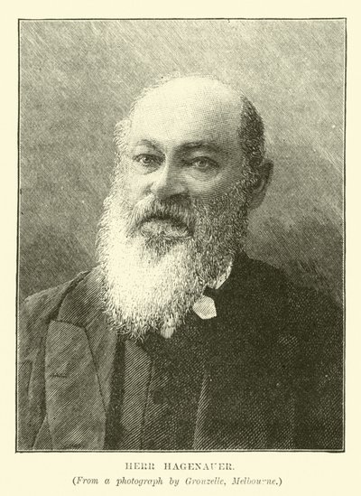 Sr. Hagenauer de English School