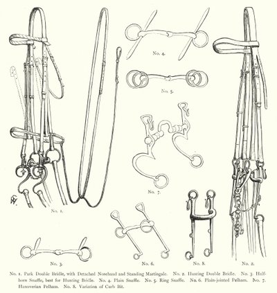 Cabeças de cavalo (gravura) de English School
