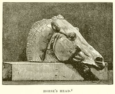 Cabeça de cavalos de English School