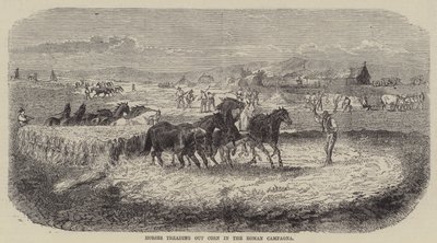 Cavalos a pisar o milho na Campagna romana (gravura) de English School
