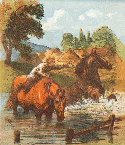 Cavalos bebendo em uma lagoa de English School