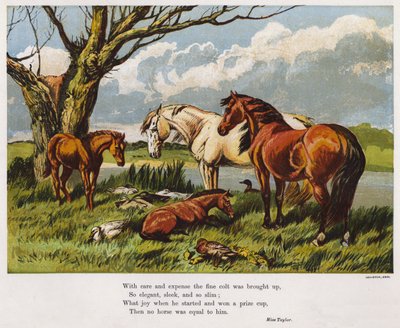 Cavalos com um potro jovem na margem de um rio (gravura colorida) de English School
