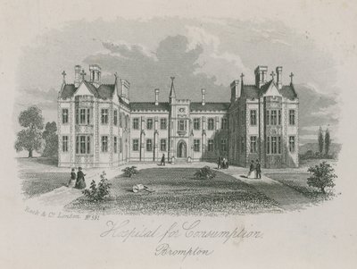 Hospital de consumo, Brompton de English School