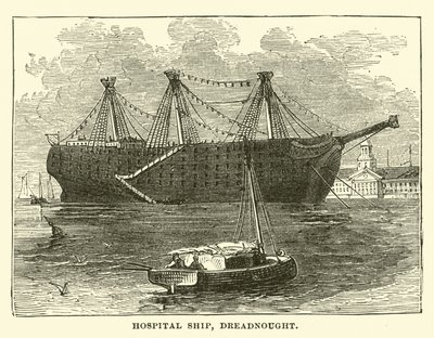 Navio-hospital, Dreadnought de English School