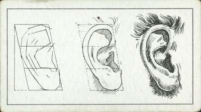 Como desenhar: A orelha (litografia) de English School