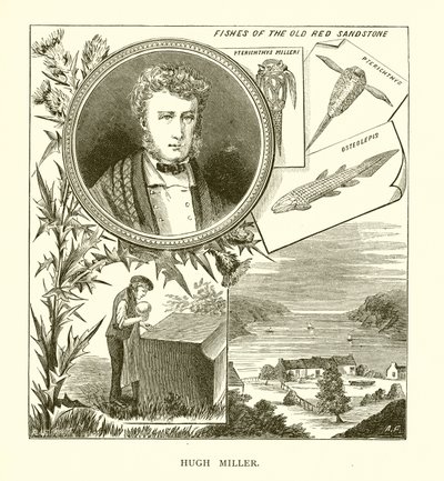 Hugh Miller von English School