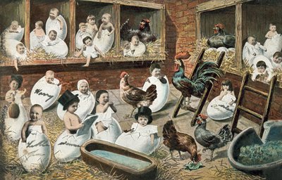 Bebês humanos nascendo de ovos de galinha de English School