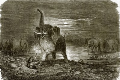 Caçador e elefante de English School