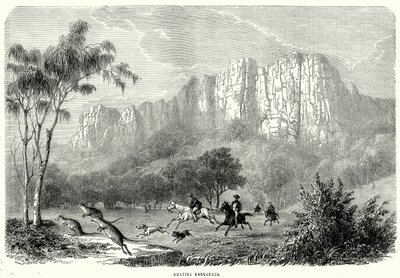 Caça aos cangurus (gravura) de English School