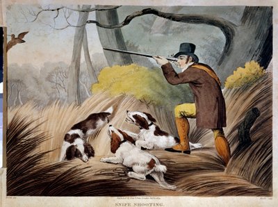 A caçar um bico em Inglaterra. Gravura aquarelada do século XIX. Gien, museu da caça. de English School