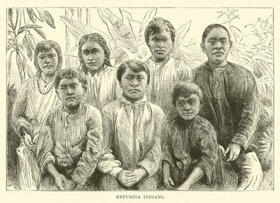 Índios de Hypurina de English School