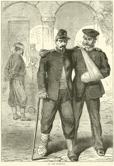No hospital, novembro de 1870 de English School
