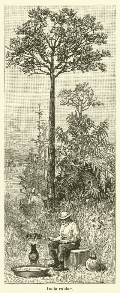Borracha da Índia (gravura) de English School