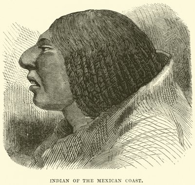 Indiano da costa mexicana de English School