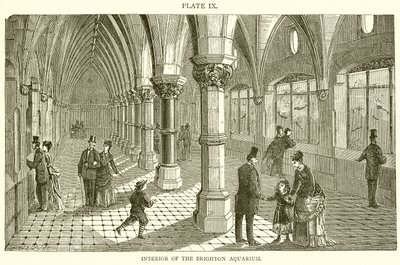 Interior do aquário de Brighton de English School