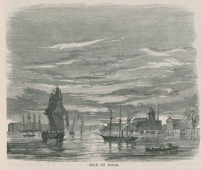 Ilha dos Cães de English School