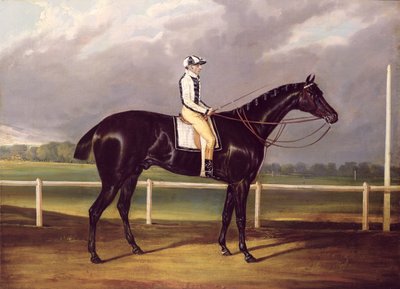 Jerry, Vencedor do St. Leger em 1824 (óleo sobre tela) de English School