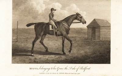 Jockey sobre o célebre Mufti, o corredor puro-sangue, pertencente a sua Graça o Duque de Bedford de English School