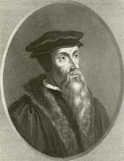 João Calvino de English School