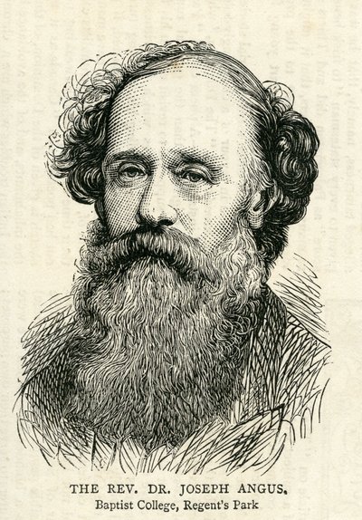 Joseph Angus (1816-1902) ilustração do gráfico 10 de julho de 1875 de English School