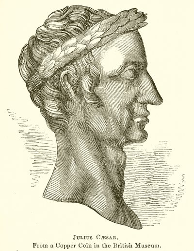 Júlio César de English School