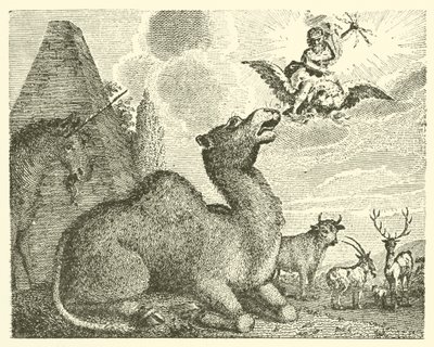 Júpiter e o camelo (gravura) de English School