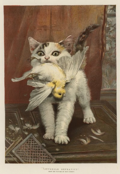 Depravação Juvenil (chromolitho) de English School