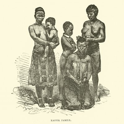 Família Kaffir de English School