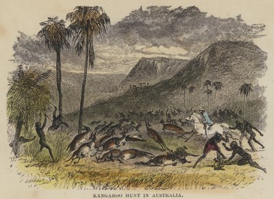 Kangaroo Hunt in Australia (gravura colorida) de English School