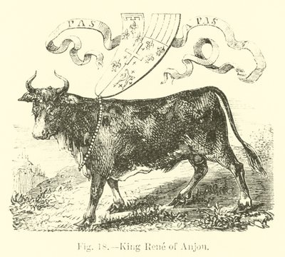 Rei René ou Anjou de English School