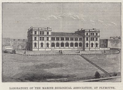 Laboratório da Associação Biológica Marinha, em Plymouth (gravura) de English School