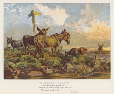 Paisagem com burros e aves (litografia a cores) de English School