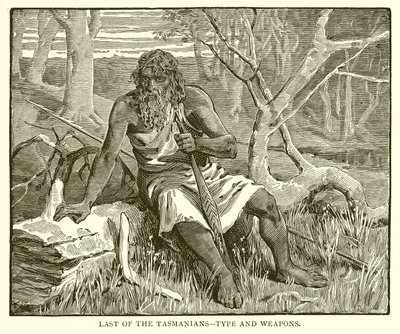 Último dos Tasmanianos - Tipo e Armas de English School