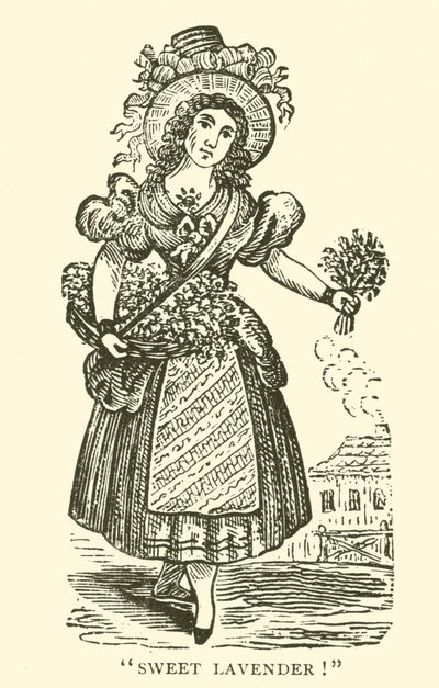 Vendedor de lavanda (xilogravura) de English School