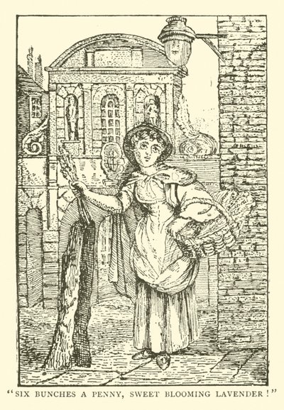 Vendedor de lavanda (xilogravura) de English School