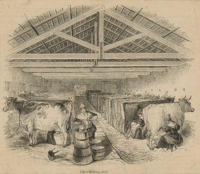 Laycocks Dairy Farm, datado de julho de 1841 de English School