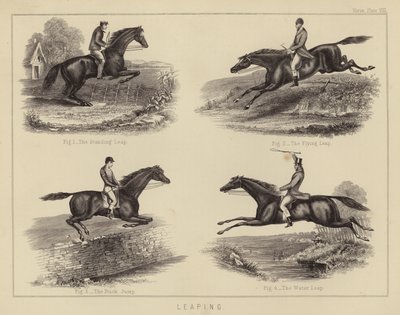 Saltar (cor litho) de English School